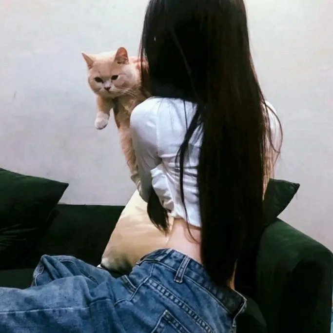 阴谋